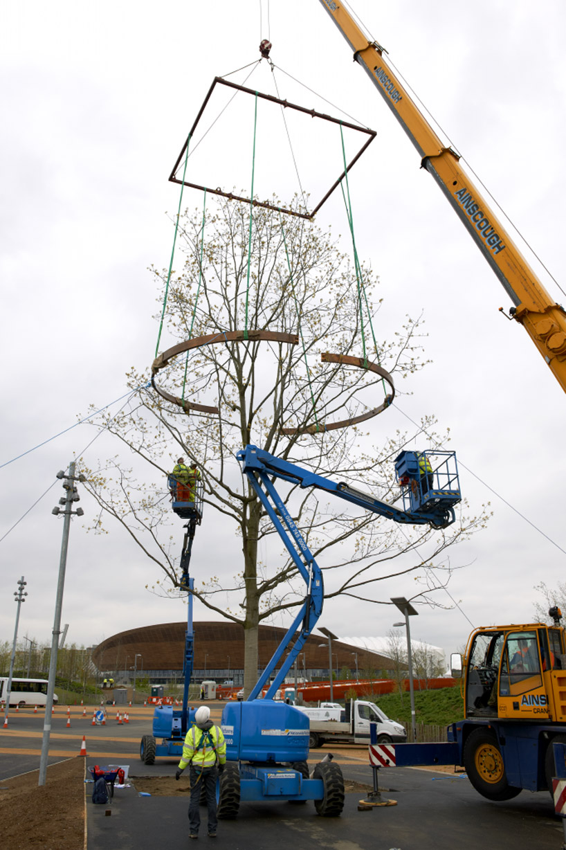 london 2012 olympic tree rings